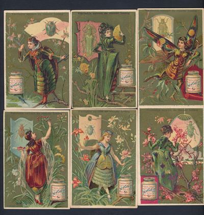 1883/85 - Figurine Liebig - Serie “coleotteri Donne” (sang. 118)