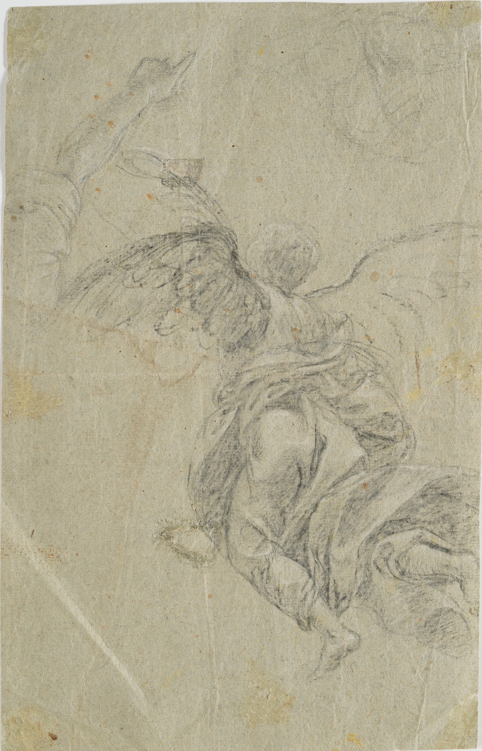 Vincenzo Campi - Studio di angelo in volo, matita nera e bianca su carta preparata grigio-verde