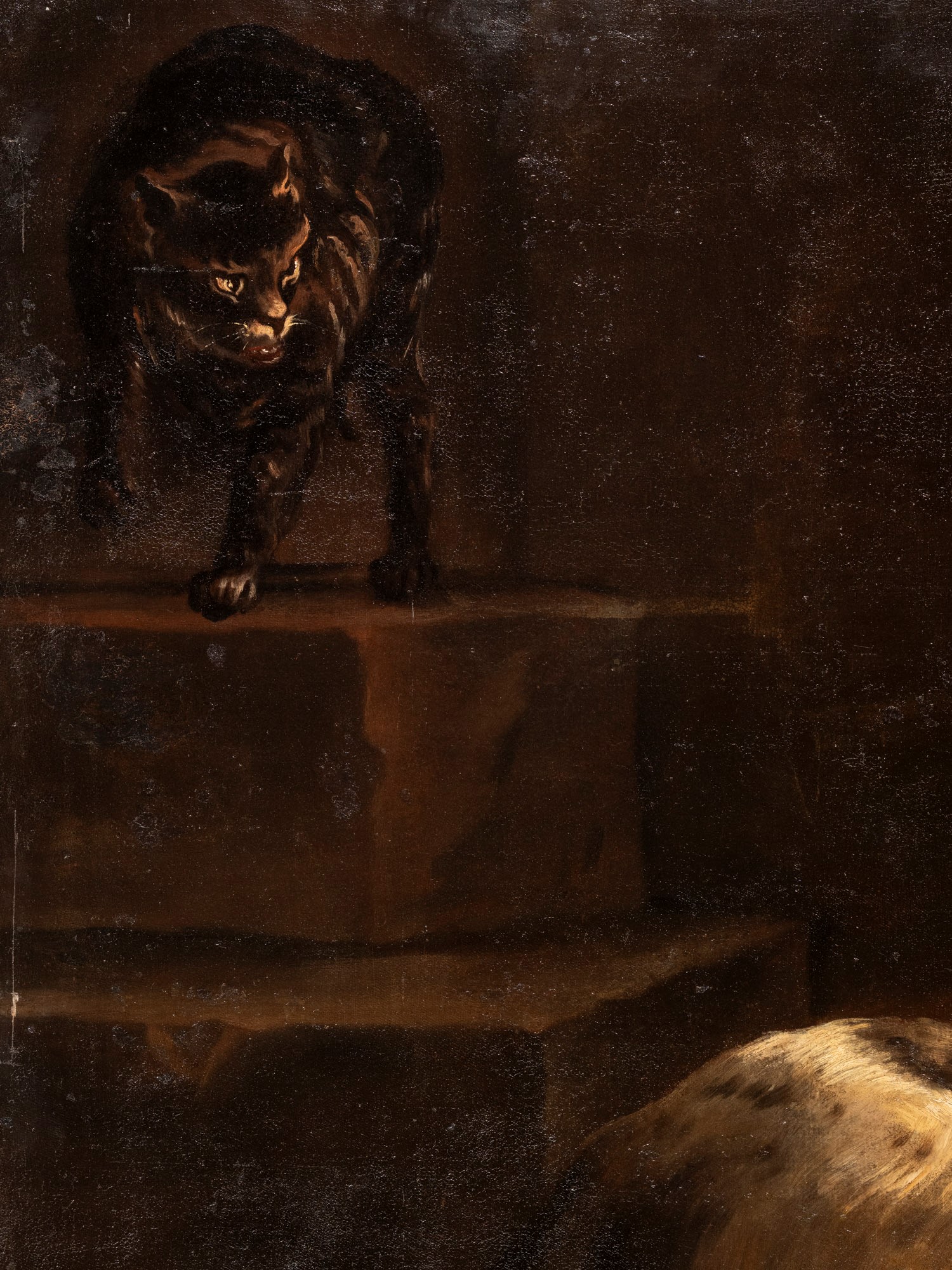 Justus Sustermans - Cane e gatto che si litigano un pezzo di carne