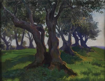 Ulivi