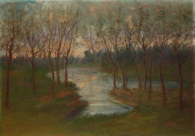 Alberi e Lago