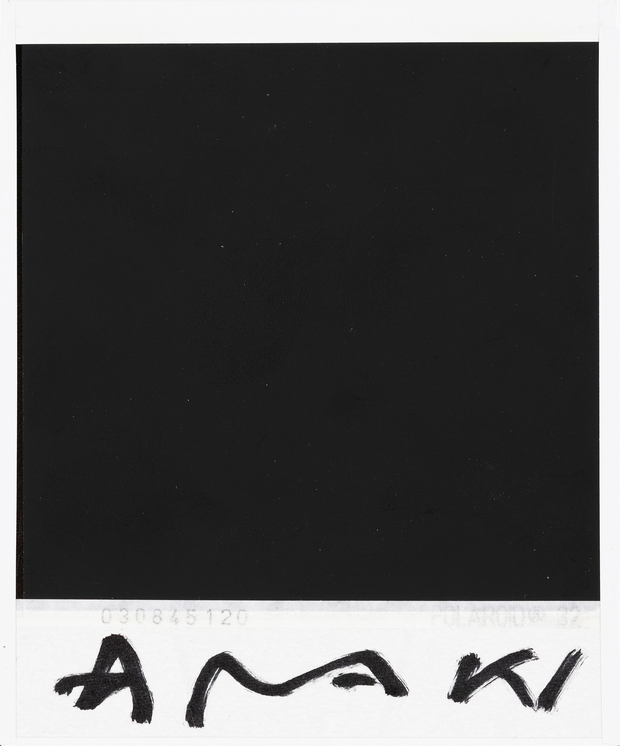 Nobuyoshi Araki - Orchid