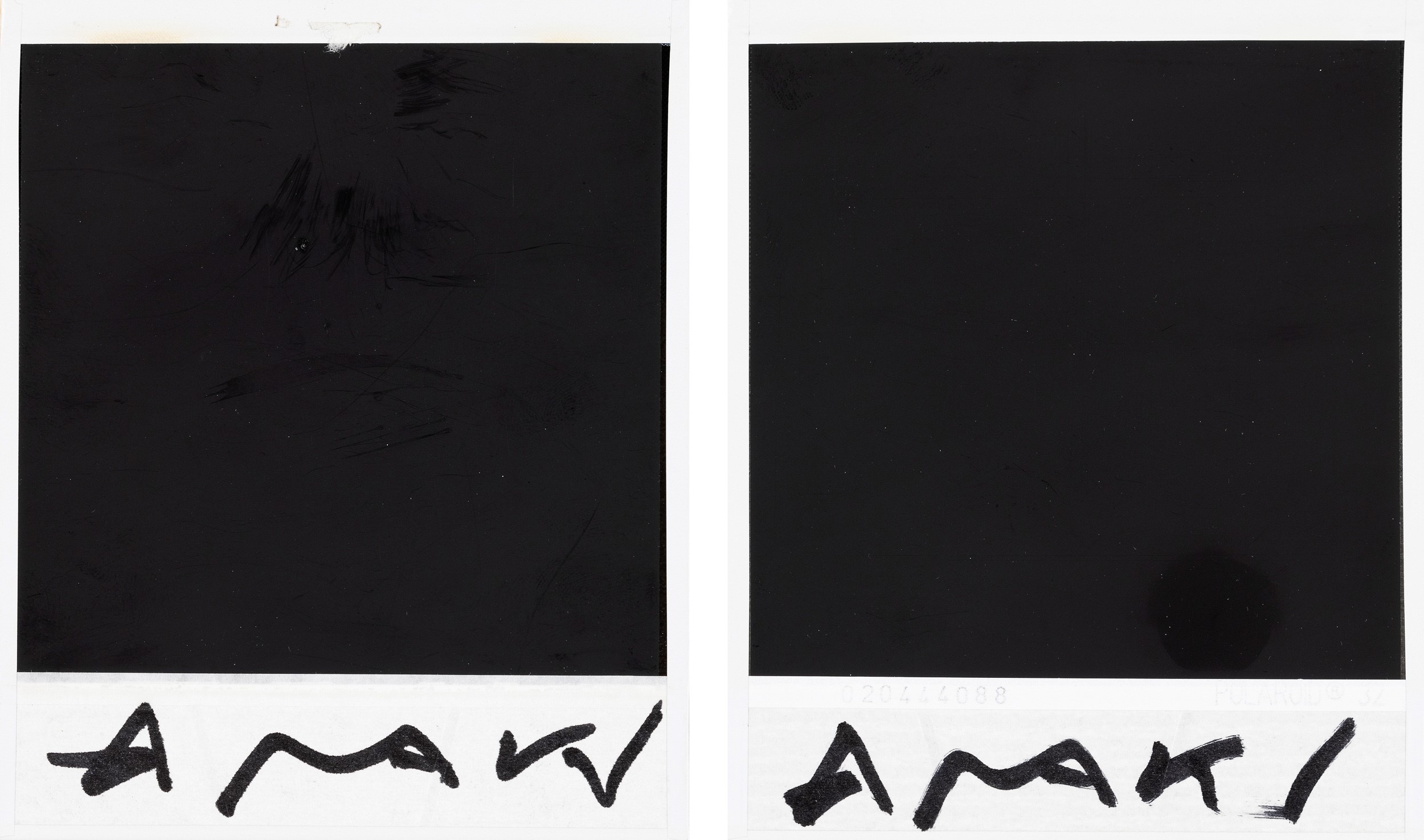 Nobuyoshi Araki - Due Polaroid: Bondage / Food