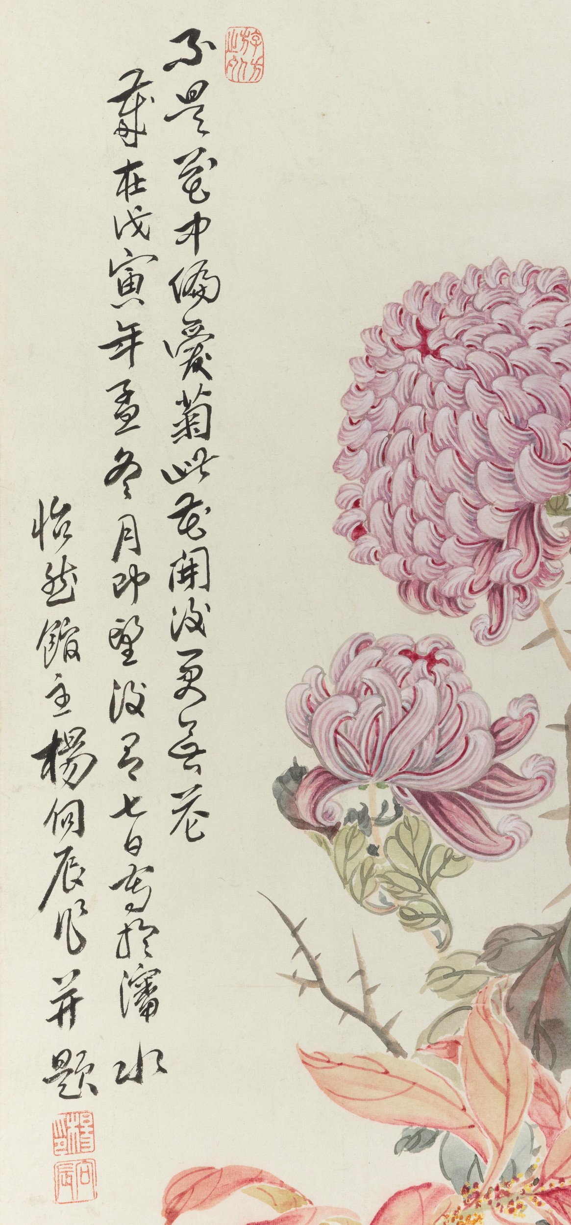 Scroll raffigurante crisantemo , iscrizioni con la poesia di Yuanzhen della dinastia Tang, Anno W...