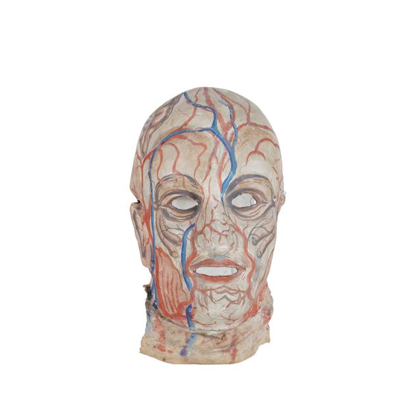 Maschera anatomica