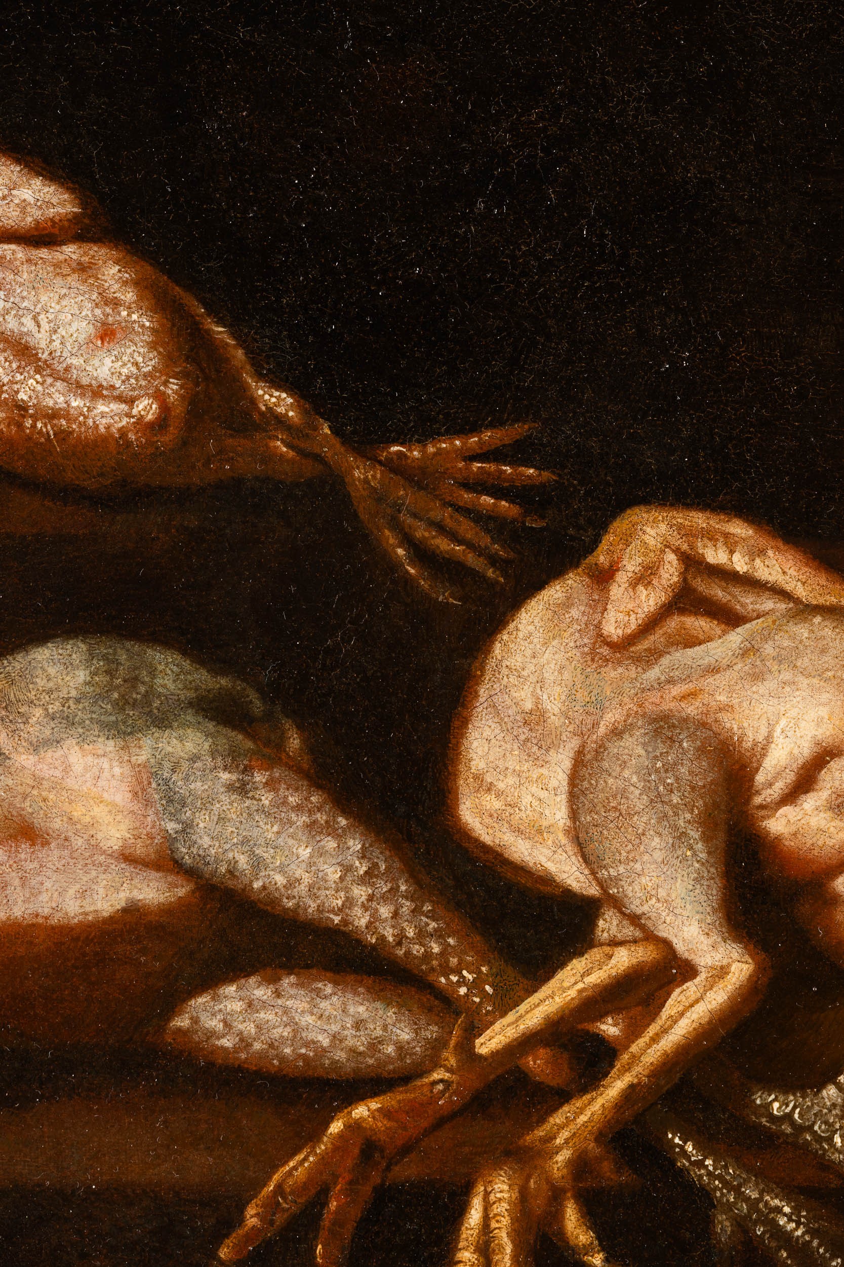 Evaristo Baschenis - Natura morta con pollame vario, olio su tela