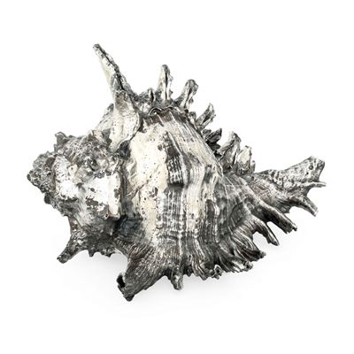 Mario Buccellati, Grande conchiglia rivestita in argento con etichetta a scudo, Italia (XX-XXI se...