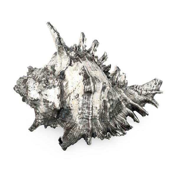 Grande conchiglia rivestita in argento. Etichetta a scudo Mario Buccellati, Italia XX-XXI secolo