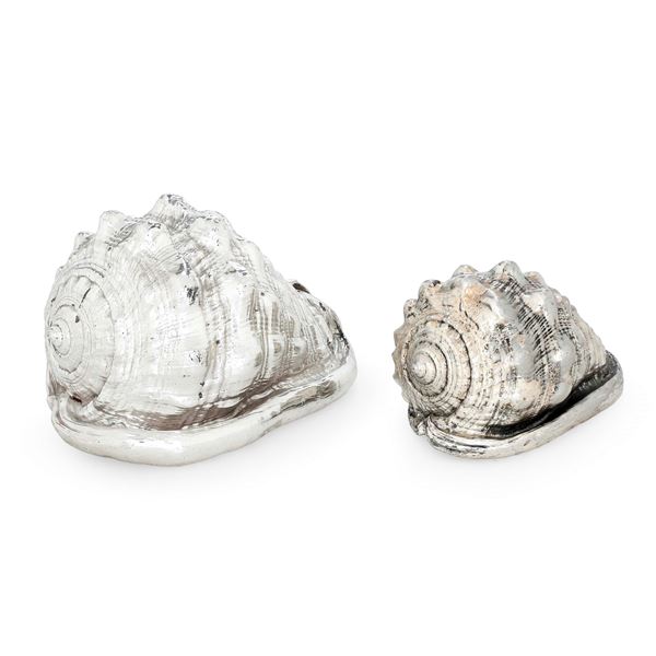 Due conchiglie rivestite in argento. Etichetta a scudo Mario Buccellati, Italia XX-XXI secolo