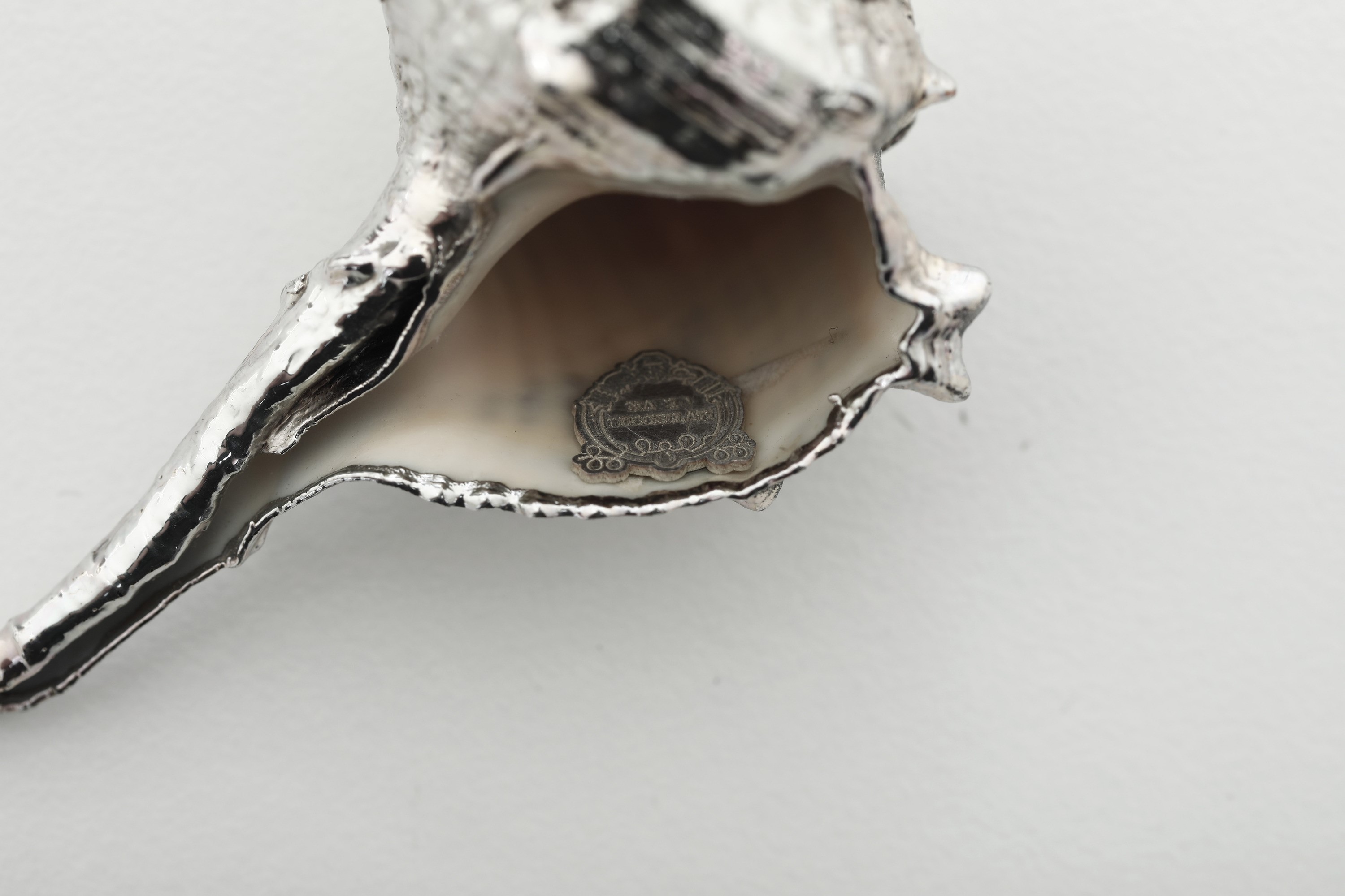 Maison Mario Buccellati, Quattro conchiglie rivestite in argento (Italia, XX secolo)