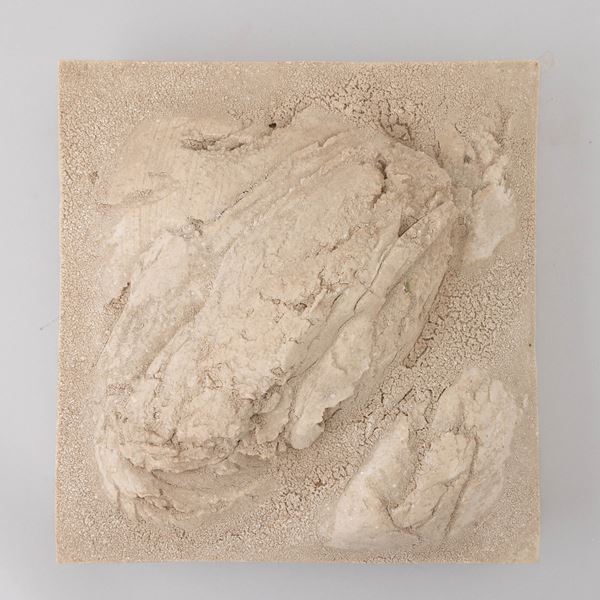 Faenza 1970 ca Zolla