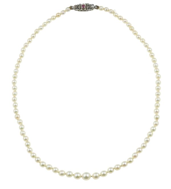 Cultured pearl and gold necklace