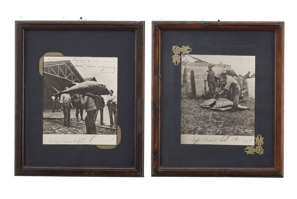 Coppia di foto della pesca al tonno in Sardegna. I metà del XX secolo