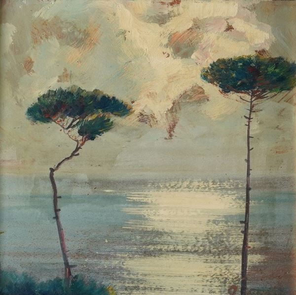 Veduta sul mare con pini marittimi
