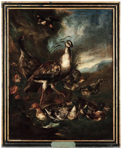 Paesaggio con Anatre e Altri Volatili