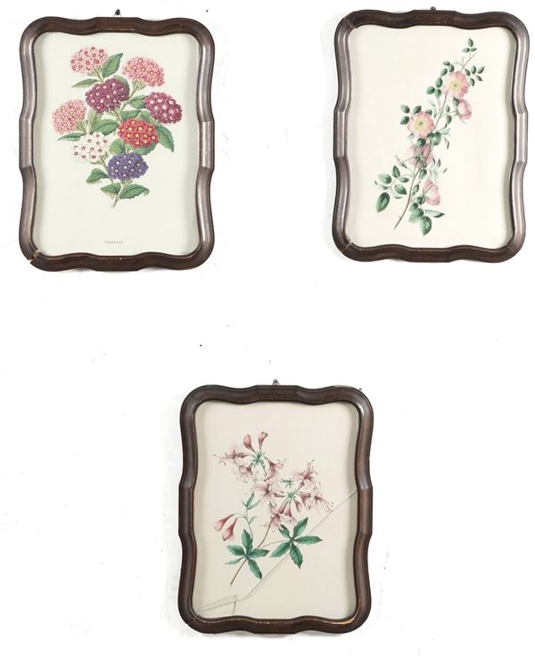 Tre riproduzioni di fiori in cornice sagomata