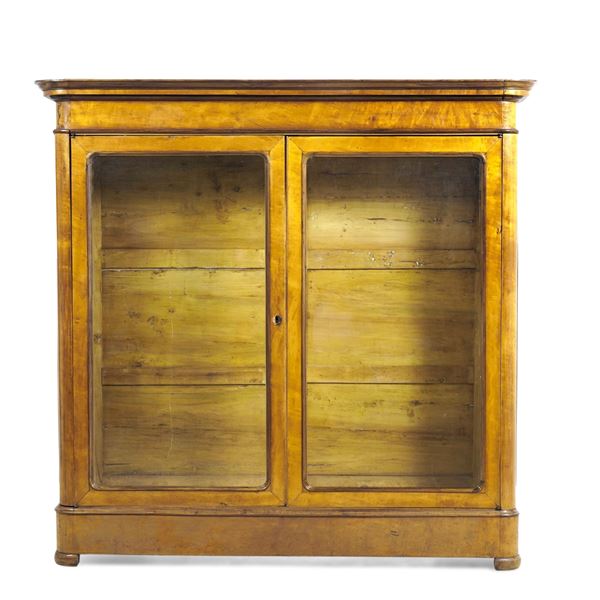 Grande vetrina-libreria lastronata. XIX secolo