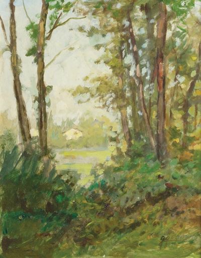 Paesaggio Alberato