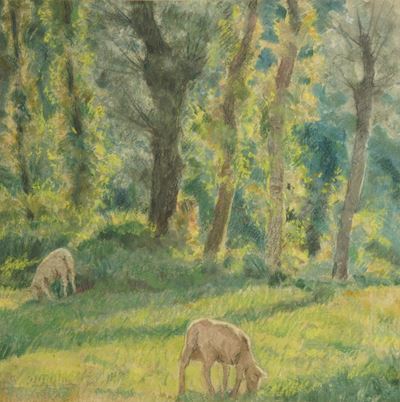 Bosco con Caprette