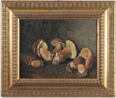 Natura Morta con Funghi