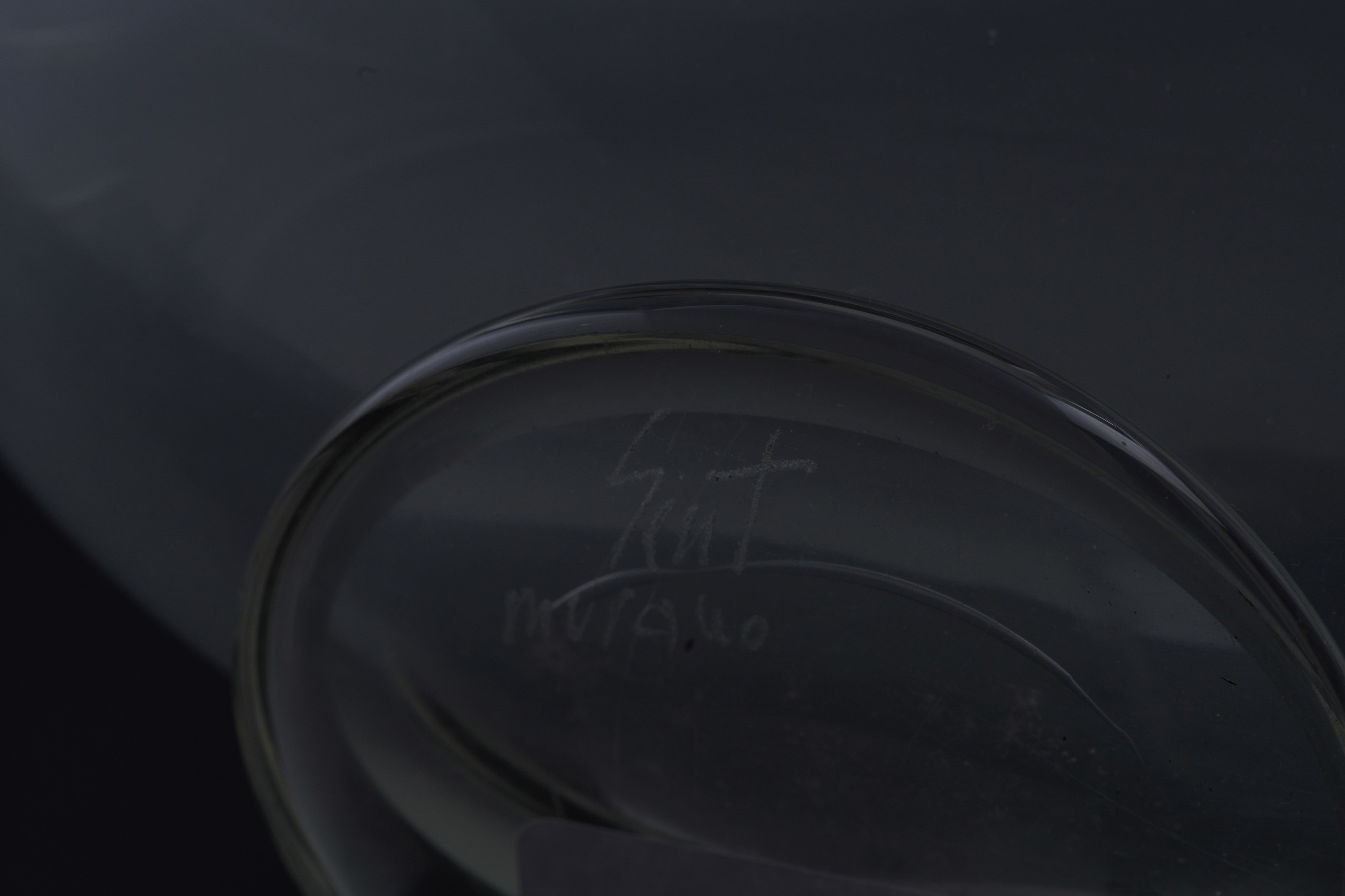 Vaso in Vetro di Murano, XX Secolo