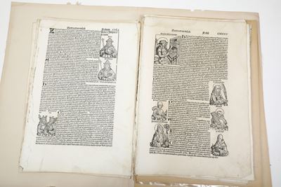 Hartmann Schedel Cronache di Norimberga