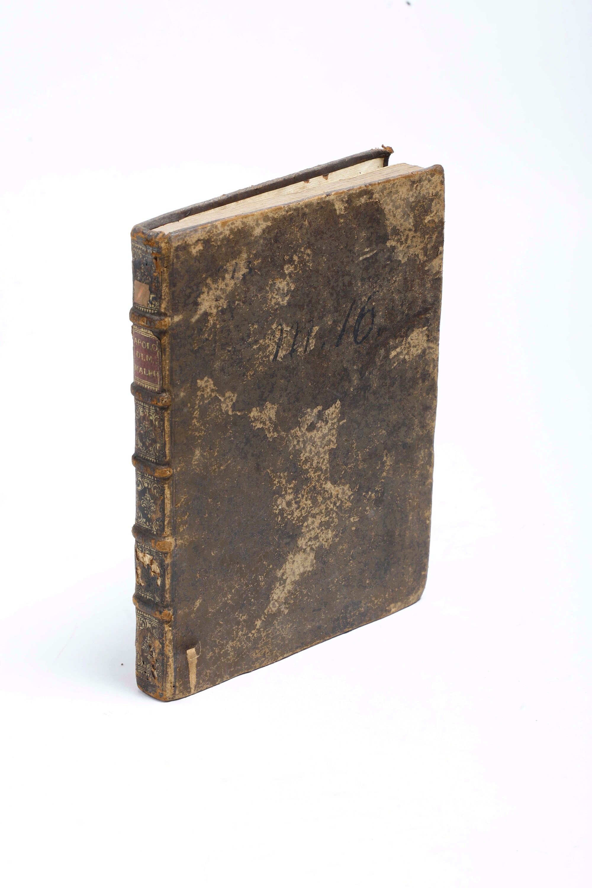 Malpighi Marcello, Monsignore (1628-1694) Raccolta di 46 Conclusioni Mediche..