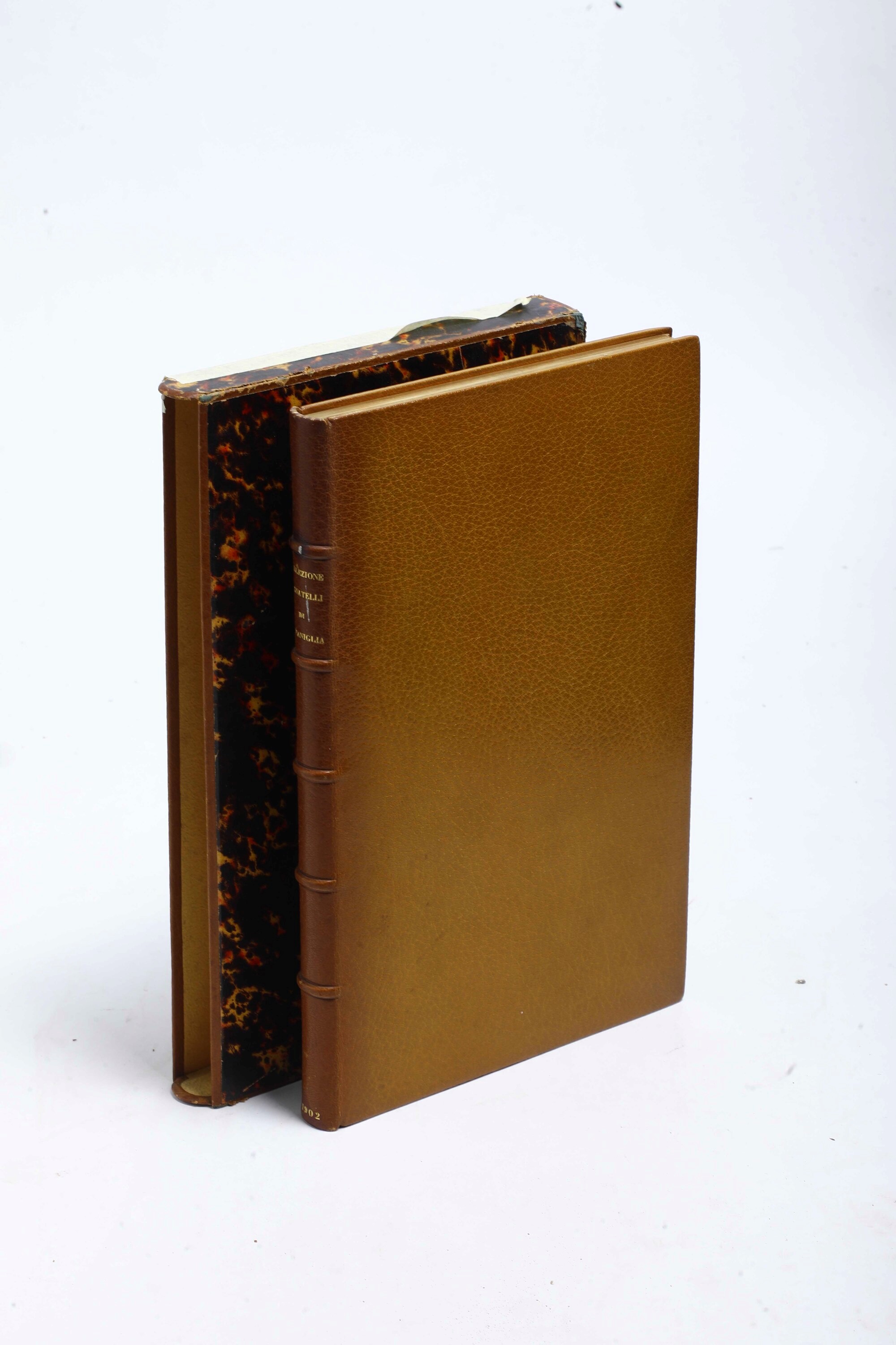 Catalogo di Libri riguardanti Innocenzo XII (Pignatelli), raccolti e posseduti dal Principe D. Di...