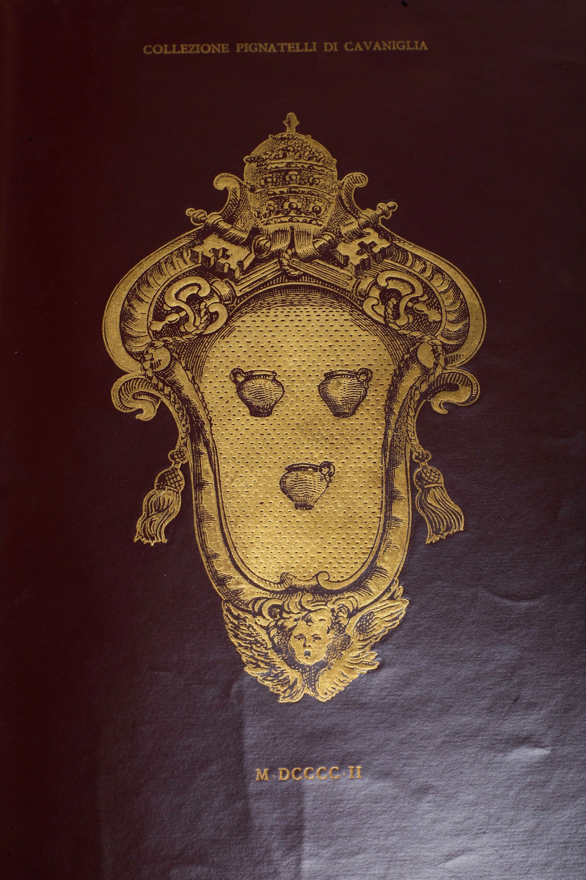 Catalogo di Libri riguardanti Innocenzo XII (Pignatelli), raccolti e posseduti dal Principe D. Di...