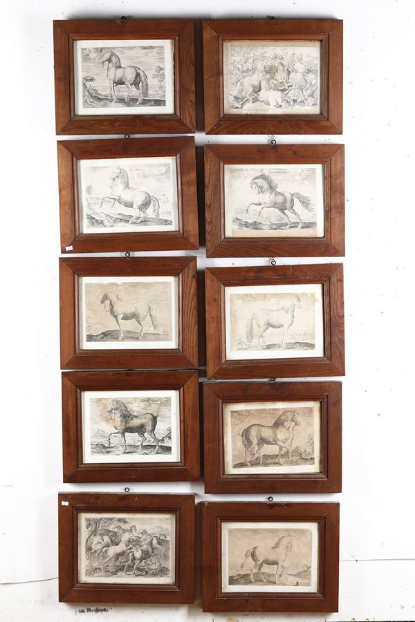 Ippologia-cavalli Dieci incisioni all'acquaforte e bulino raffiguranti cavalli di razze diverse tratte da soggetti di invenzione di Johan Strada