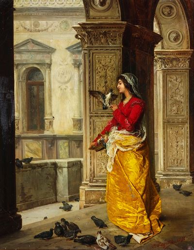 Piccioni Domestici