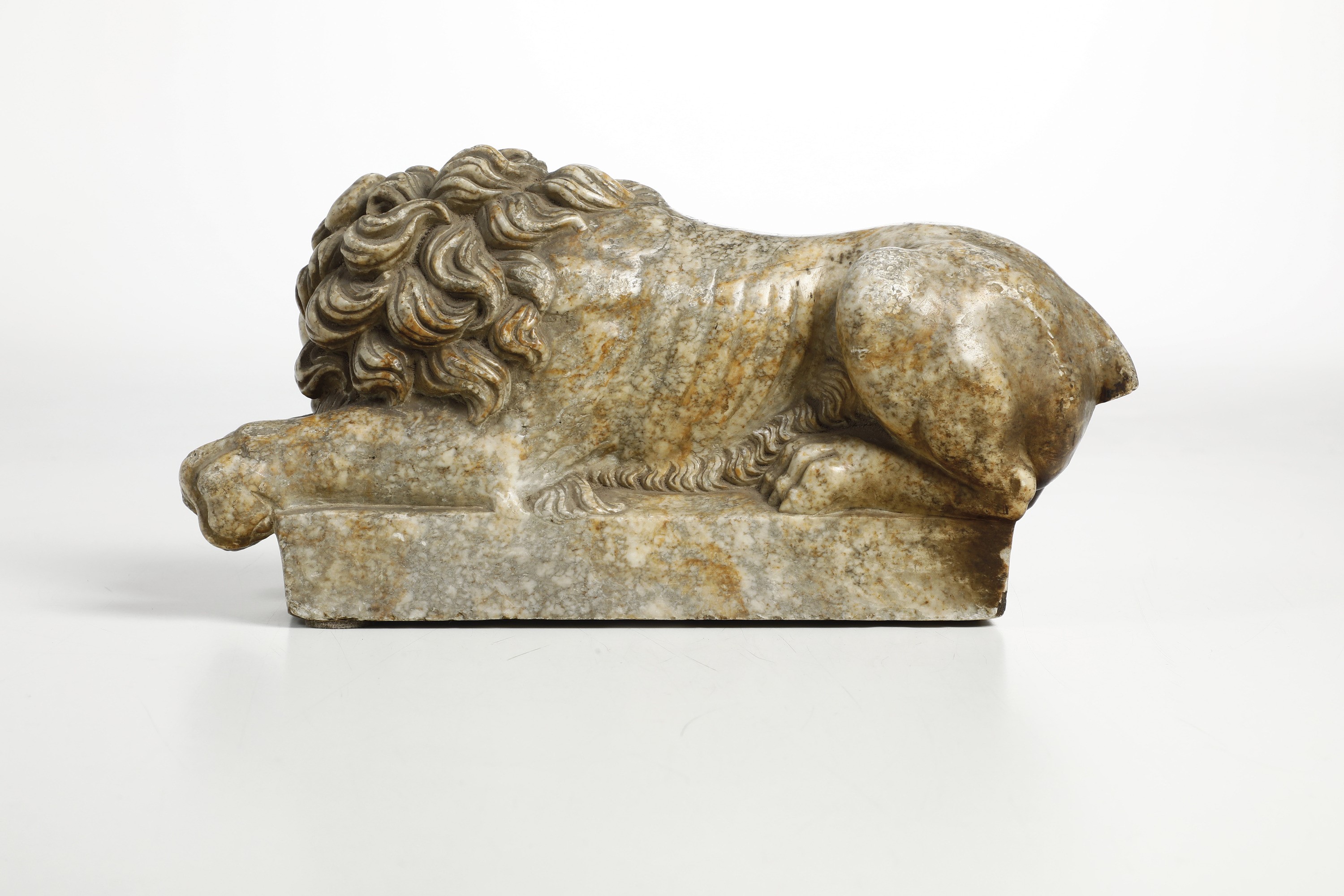 Leone. Probabile XVII Secolo