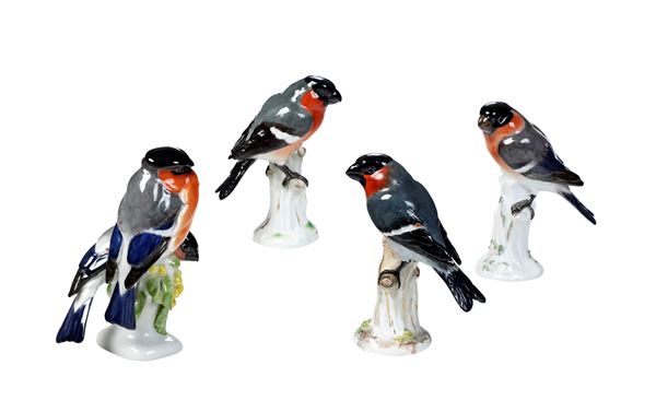 Quattro figure con ciuffolotti Meissen, fine XIX e XX secolo 