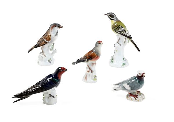 Cinque diverse figure di uccelli Meissen, XX secolo 