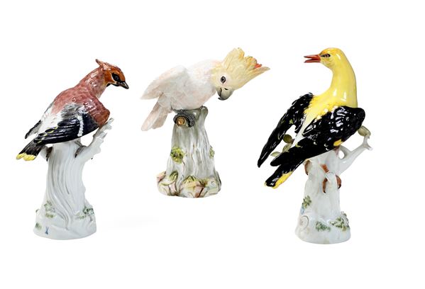 Tre figure di uccelli Meissen, fine XIX inizio XX secolo 