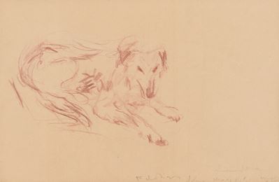 Cane, matita su carta, 1935