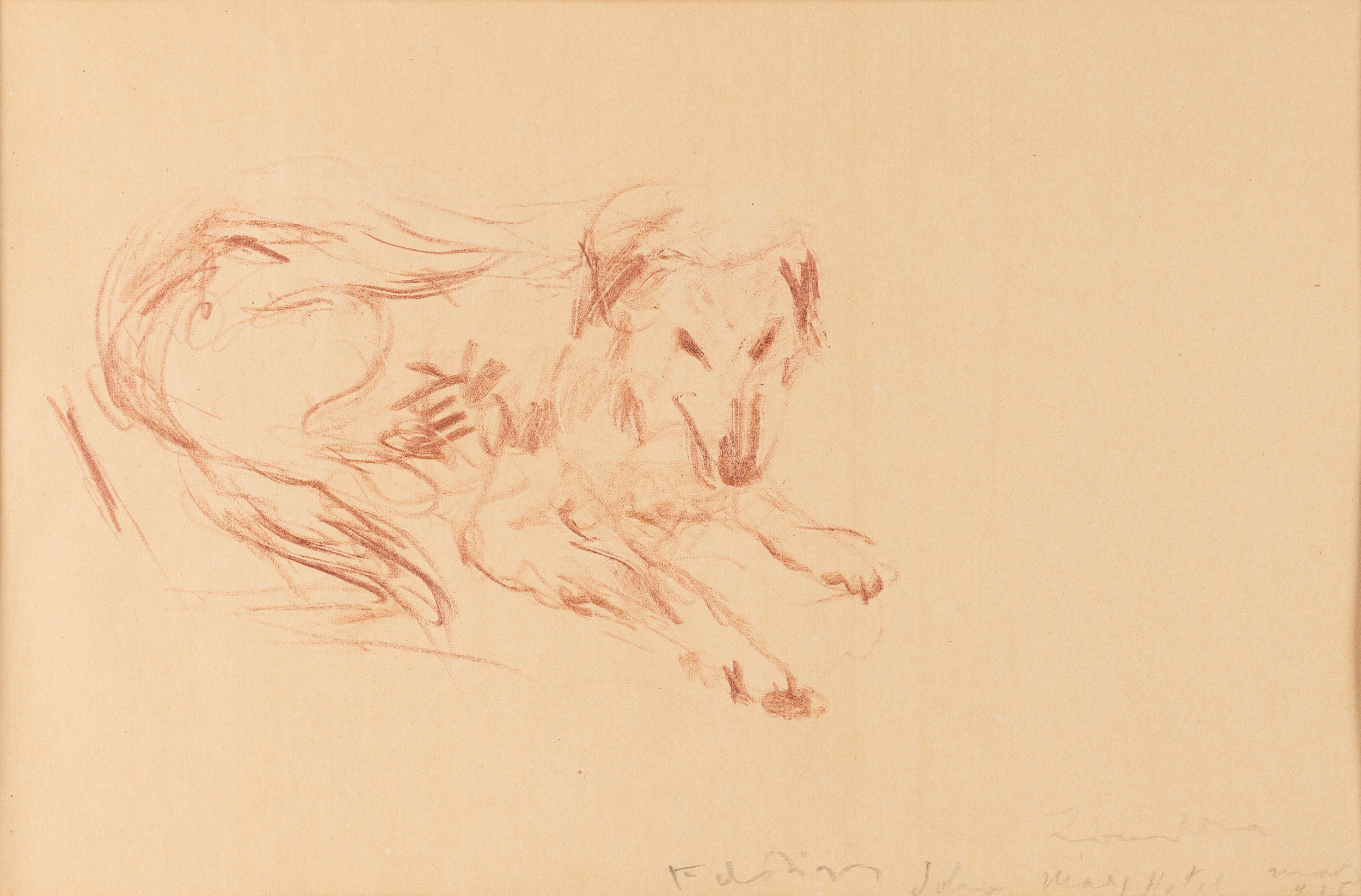 Filippo De Pisis - Cane, matita su carta, 1935