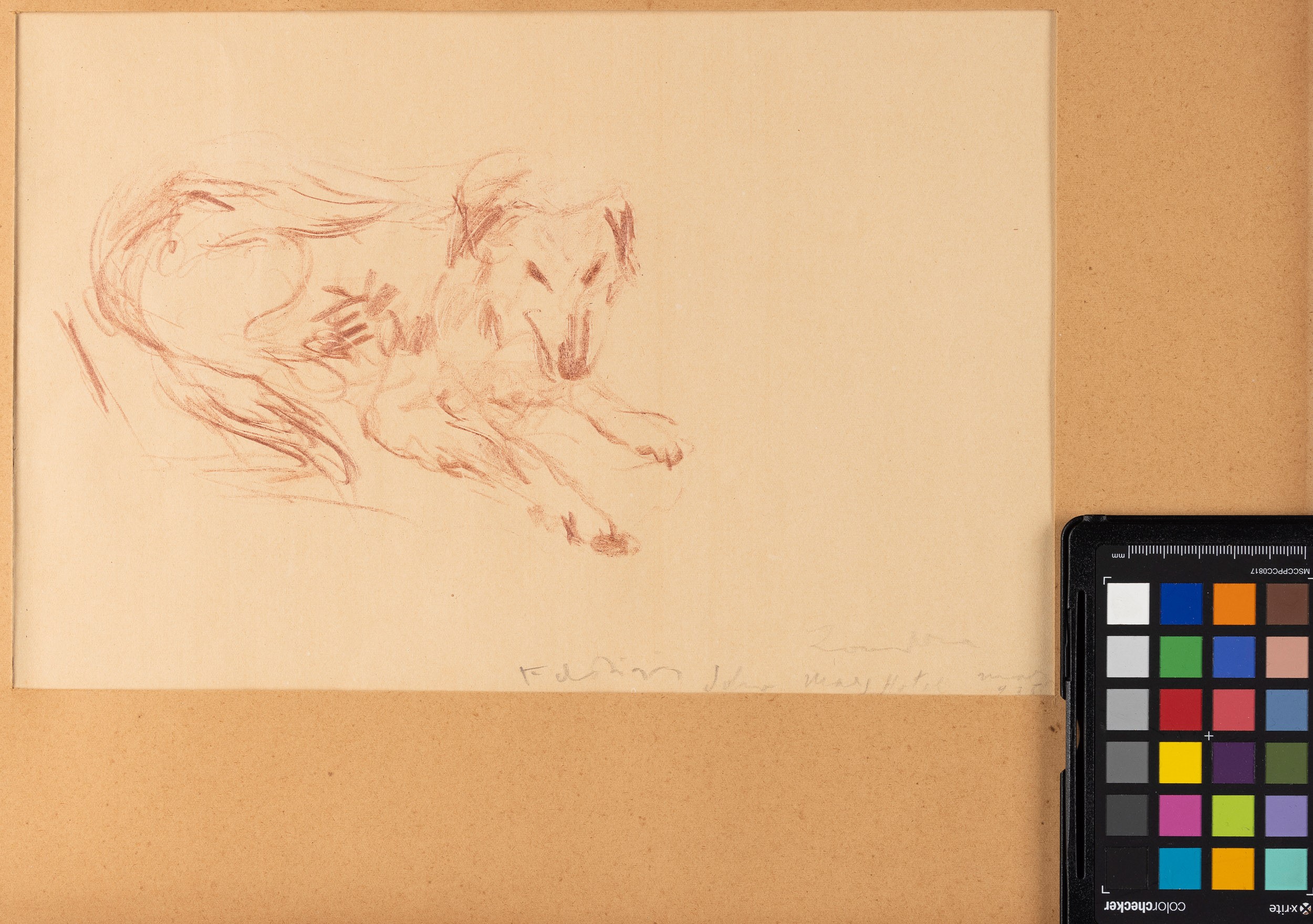 Filippo De Pisis - Cane, matita su carta, 1935