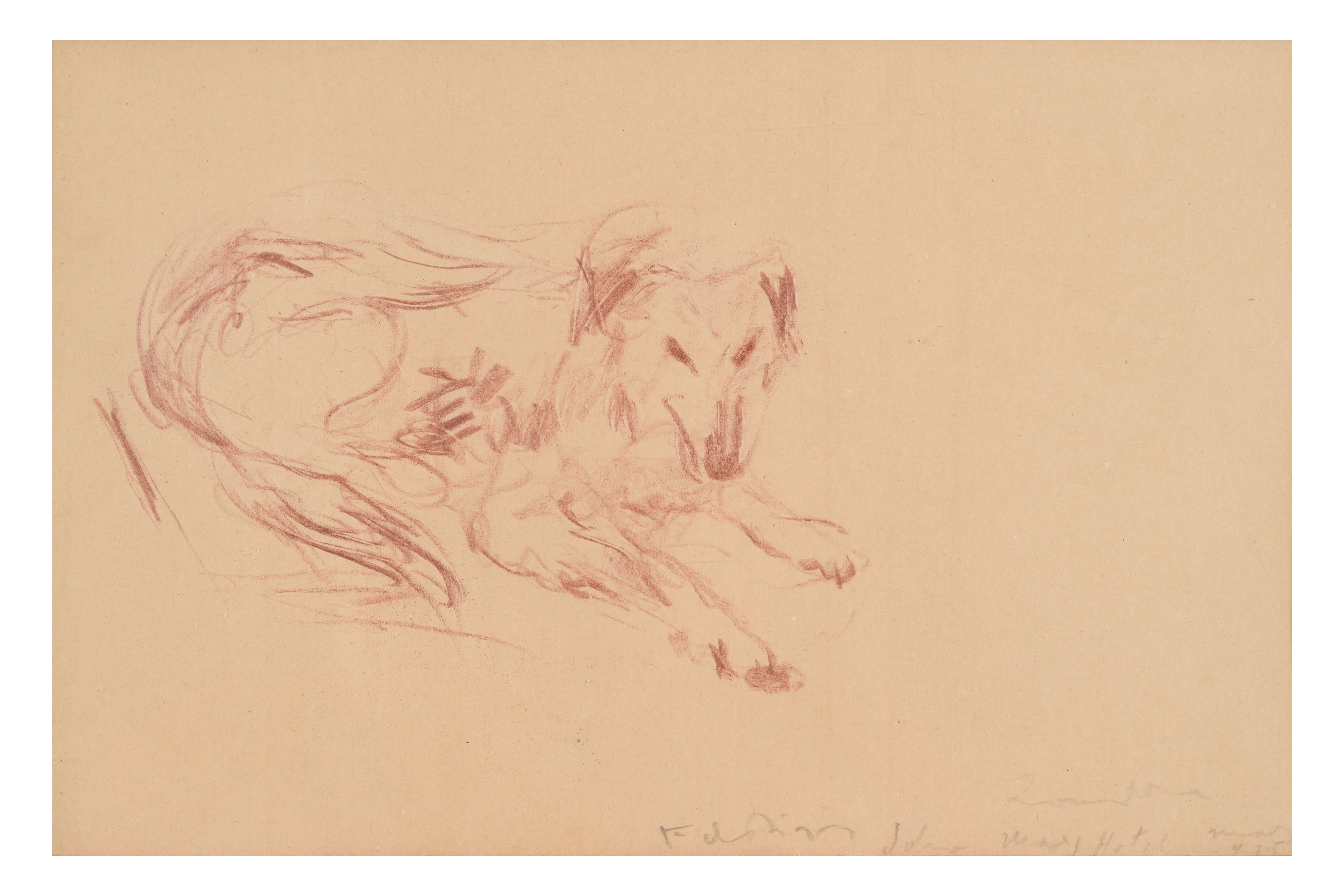 Filippo De Pisis - Cane, matita su carta, 1935