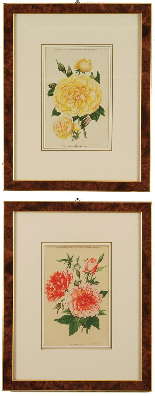 Coppia di stampe raffiguranti fiori