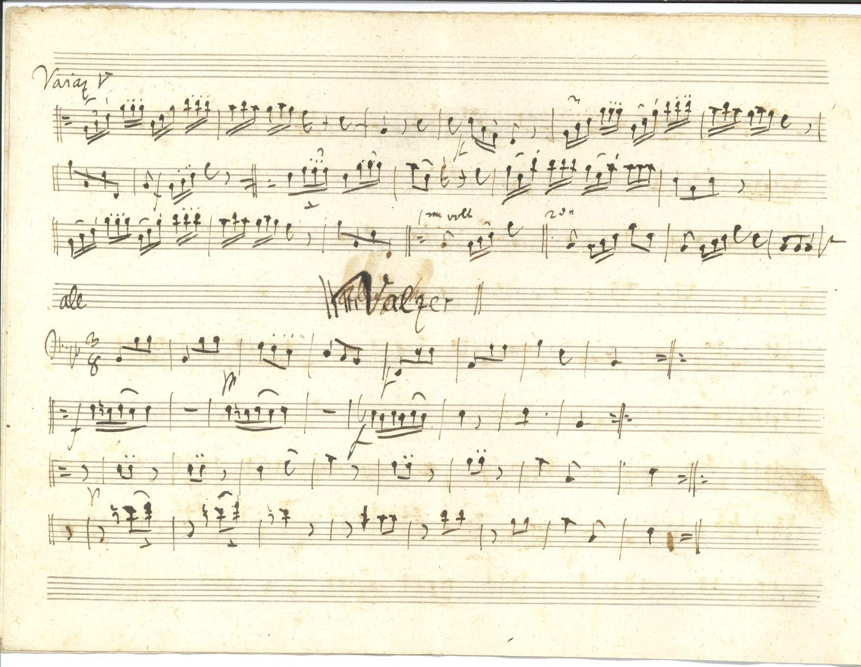 Mayr Simon Johann (1763 - 1845)