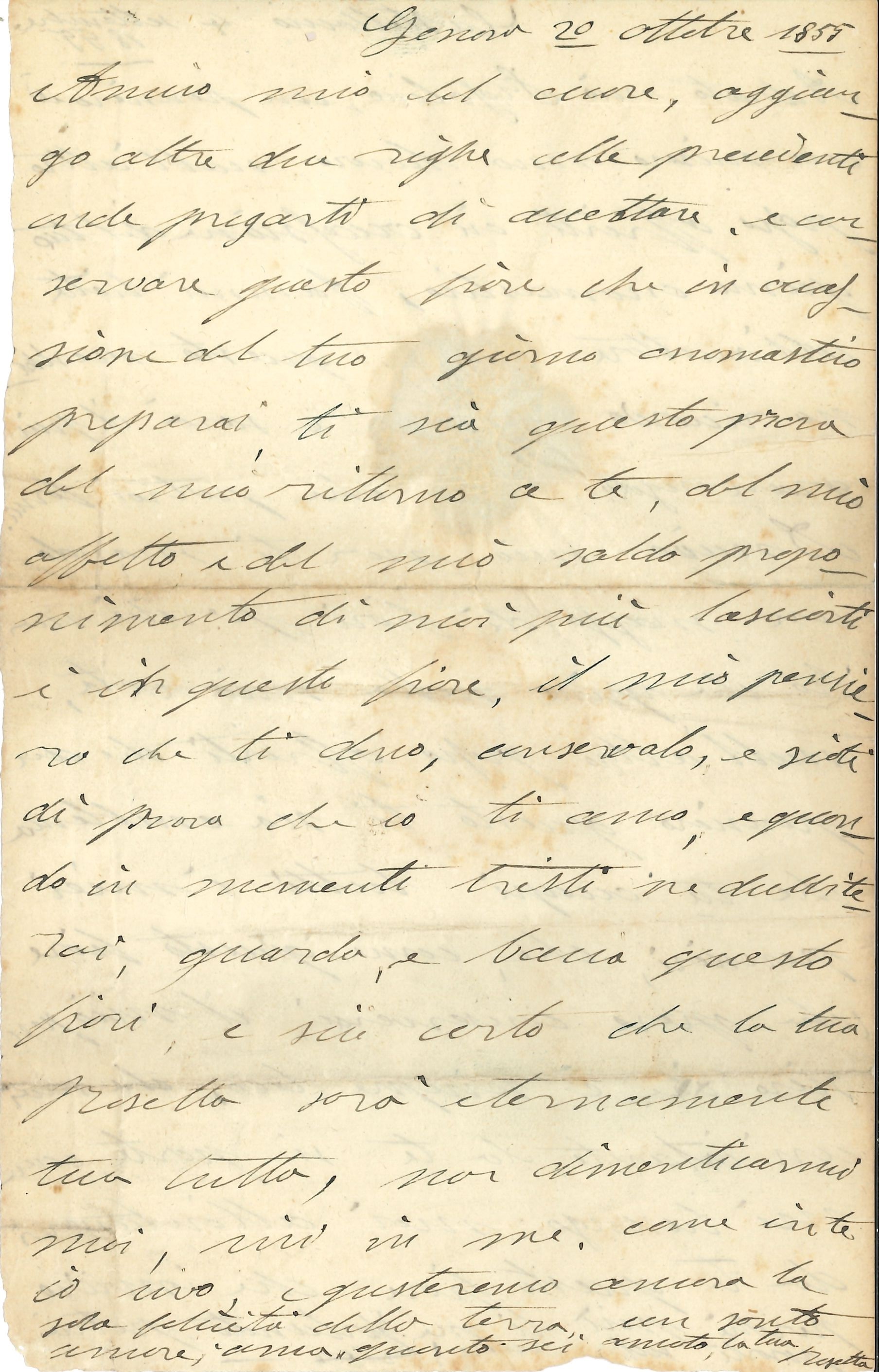 Grande Raccolta di Oltre Quaranta Autografi, Lettere e Biglietti di Politici, Diplomatici e Uomin...