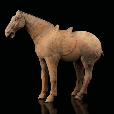 Figura di Cavallo in Terracotta con Tracce di Monocromia, Cina, Probabilmente Dinastia Tang (618-...