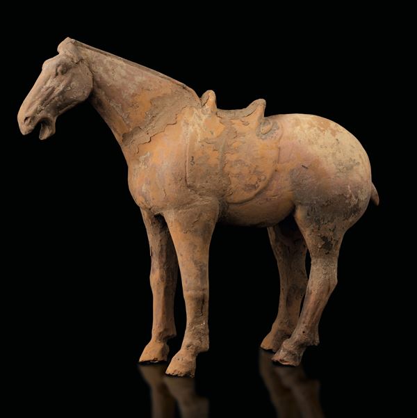 Figura di cavallo in terracotta con tracce di monocromia, Cina, probabilmente Dinastia Tang (618-907)
