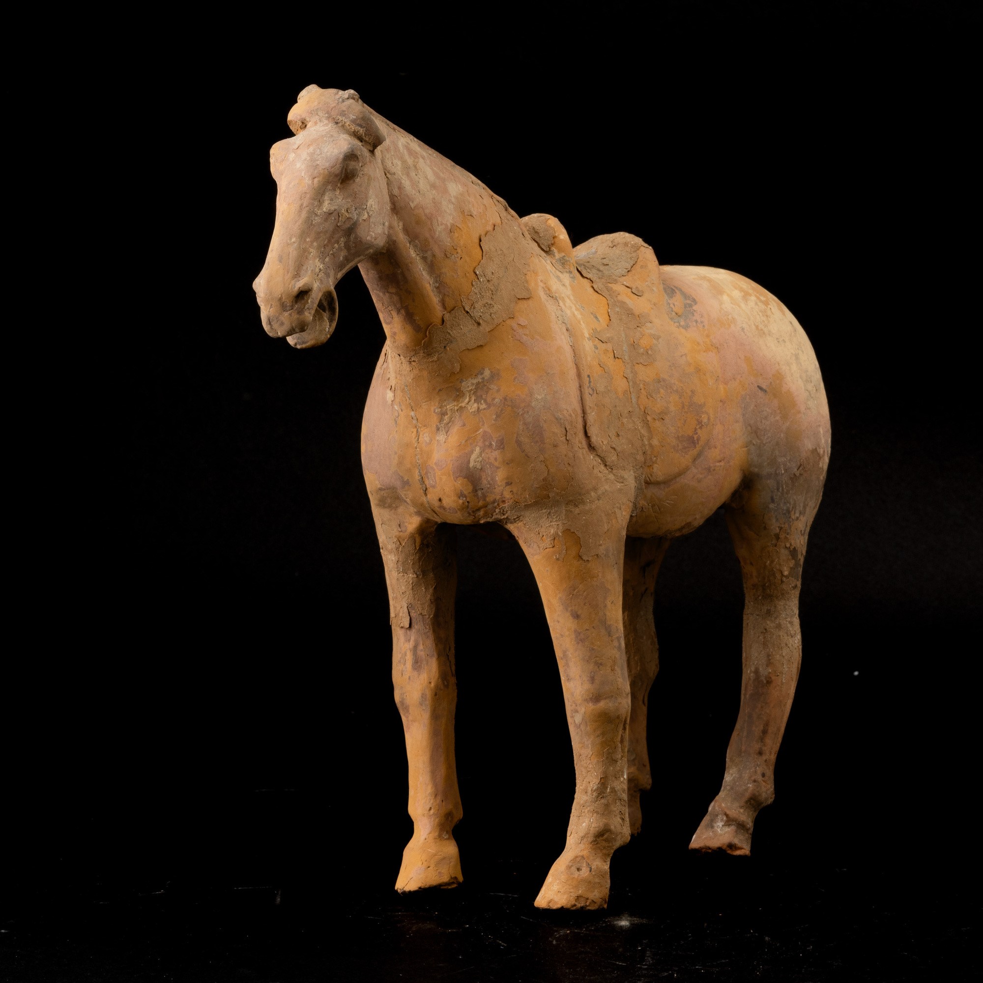 Figura di Cavallo in Terracotta con Tracce di Monocromia, Cina, Probabilmente Dinastia Tang (618-...