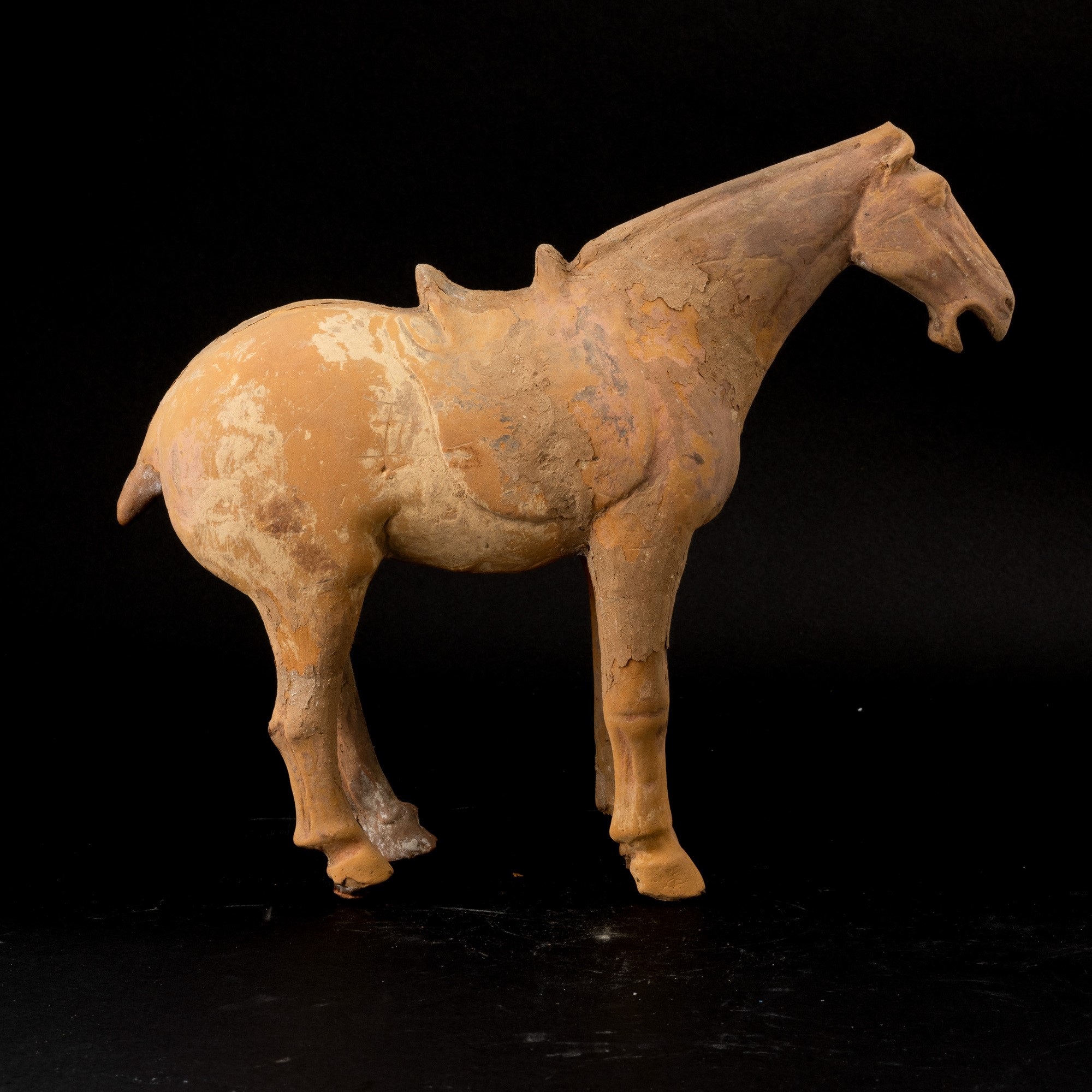 Figura di Cavallo in Terracotta con Tracce di Monocromia, Cina, Probabilmente Dinastia Tang (618-...