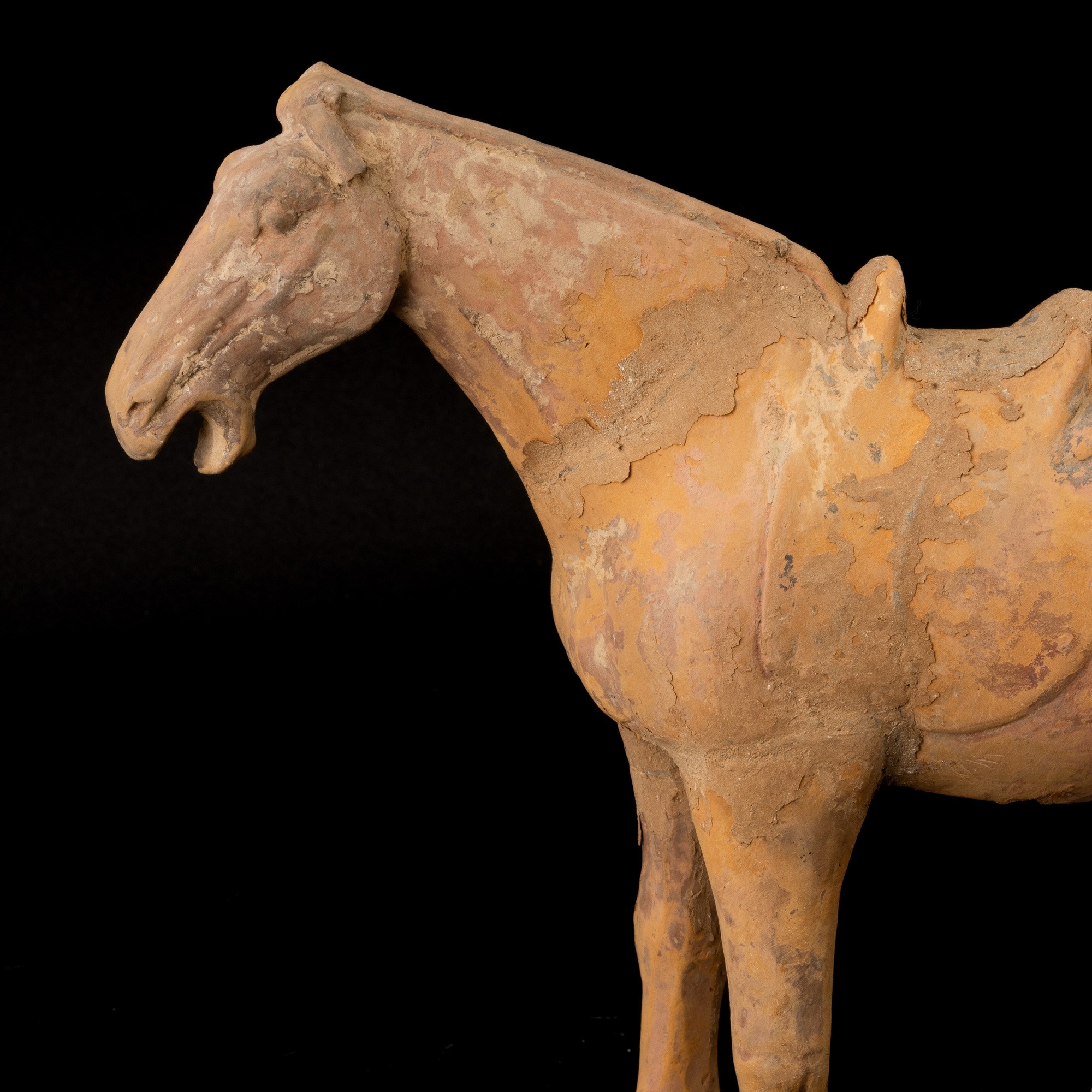 Figura di Cavallo in Terracotta con Tracce di Monocromia, Cina, Probabilmente Dinastia Tang (618-...