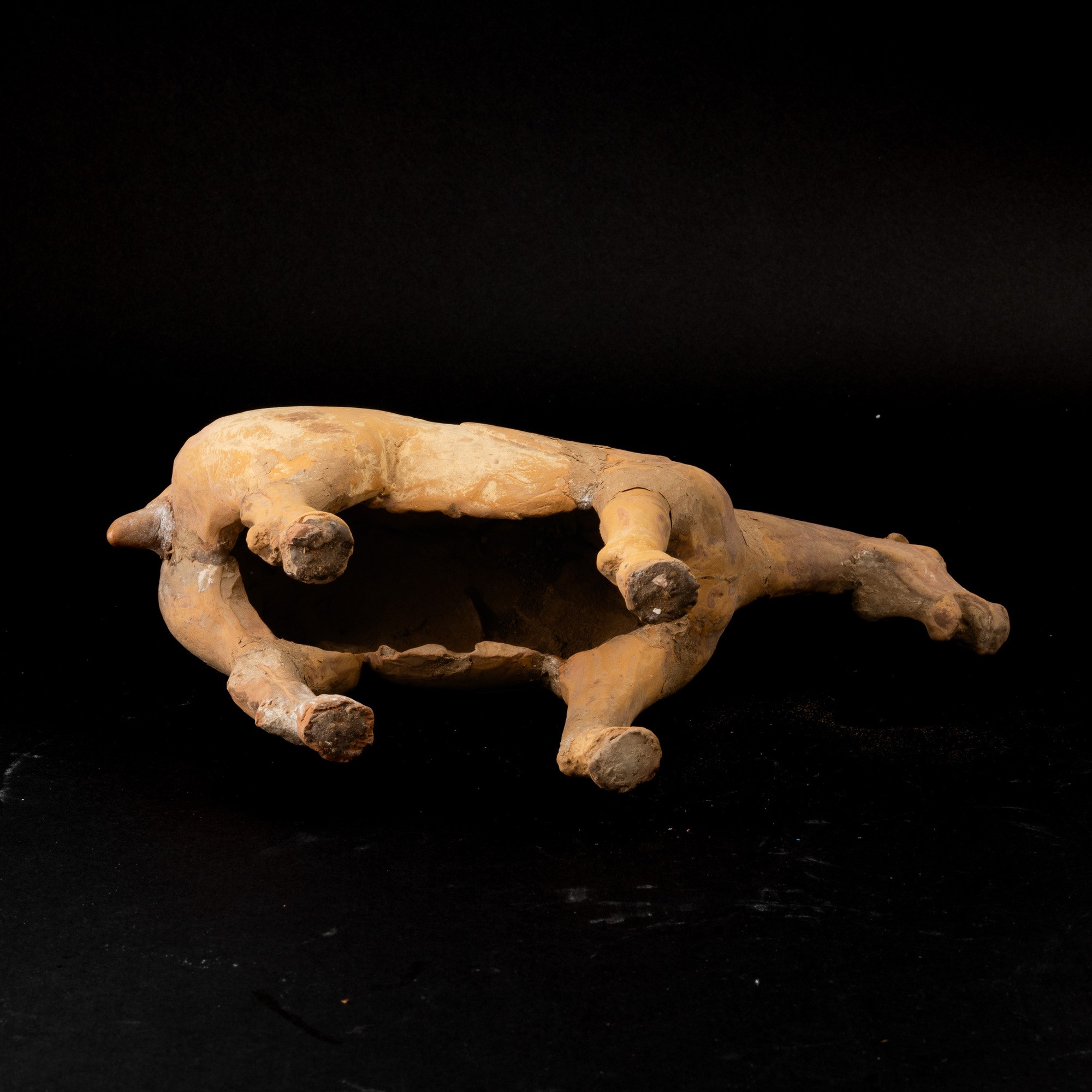Figura di Cavallo in Terracotta con Tracce di Monocromia, Cina, Probabilmente Dinastia Tang (618-...