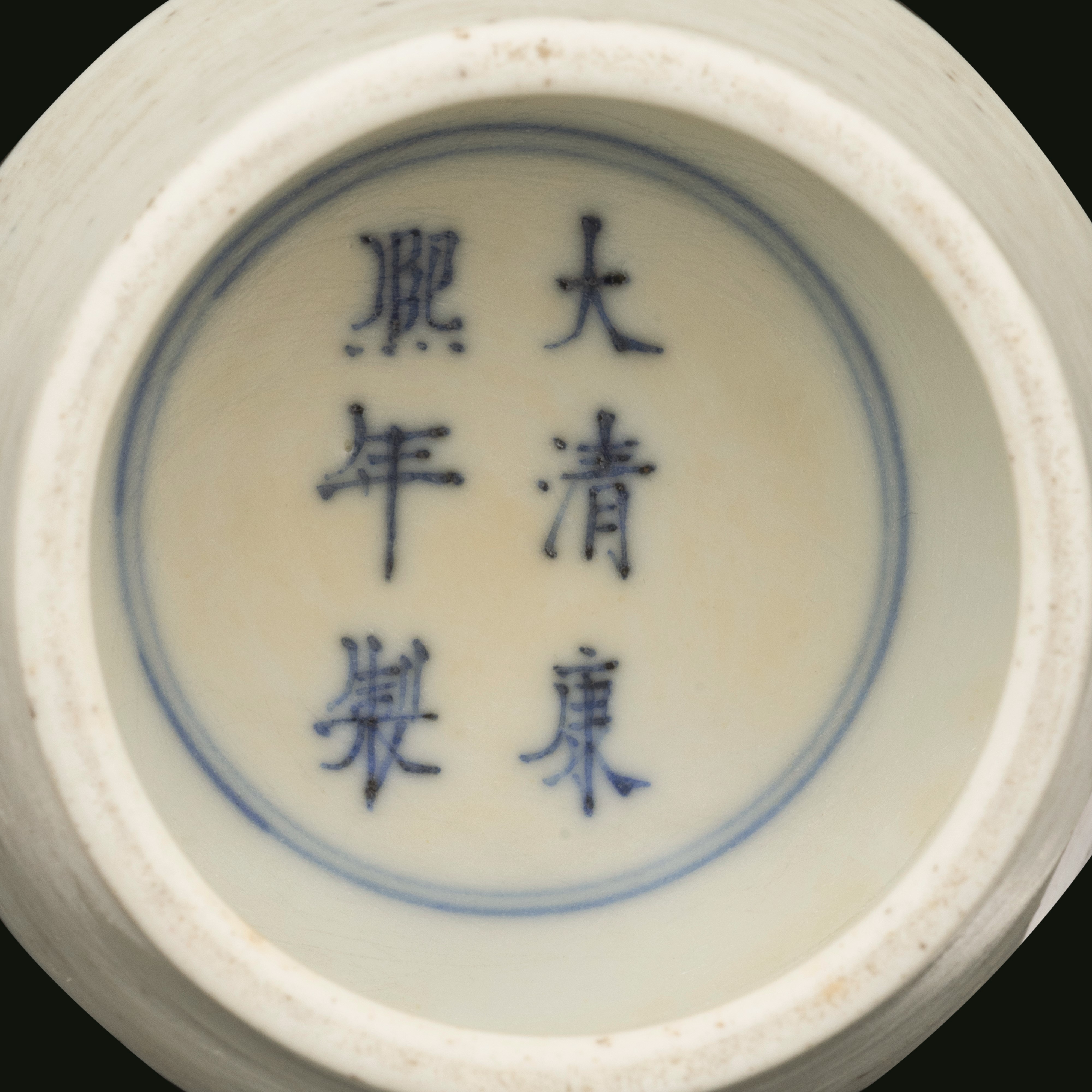 Vaso in Porcellana Famiglia Noir Raffigurante Scene Vegetali e Scene di Vita Comune, Cina, Dinast...