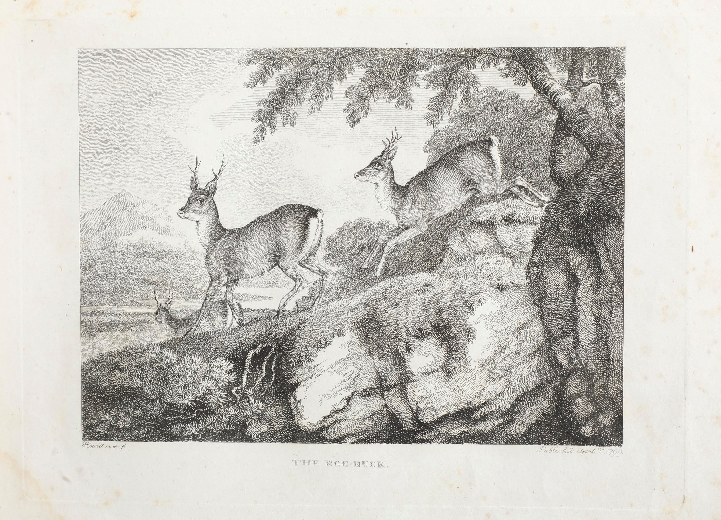 Howitt William Samuel The British Sportsman... Londra, Gossnel, 1800